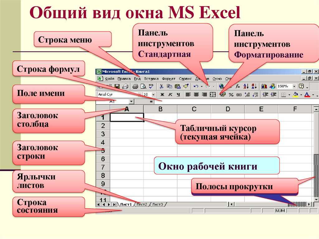Укажите тип поля которое содержит рисунки звуковые файлы таблицы excel документ word