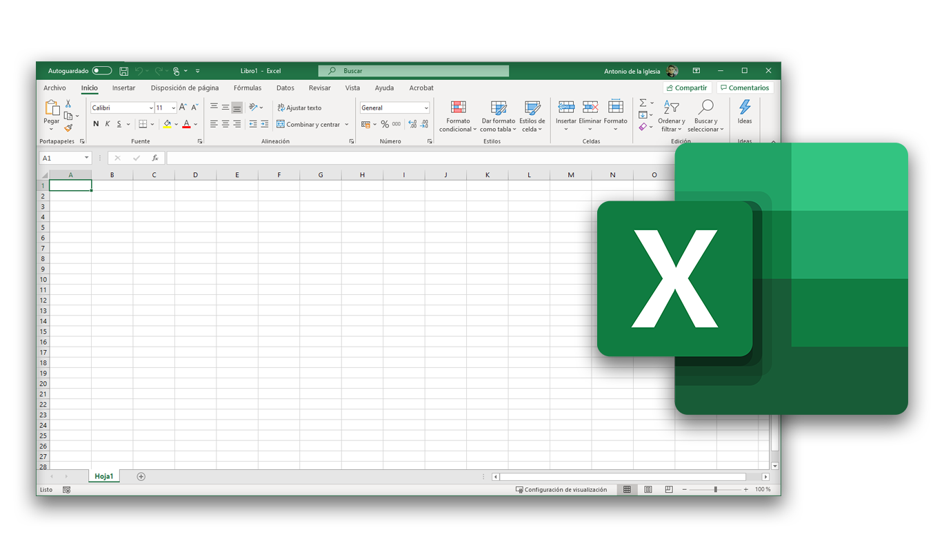 Microsoft excel вид