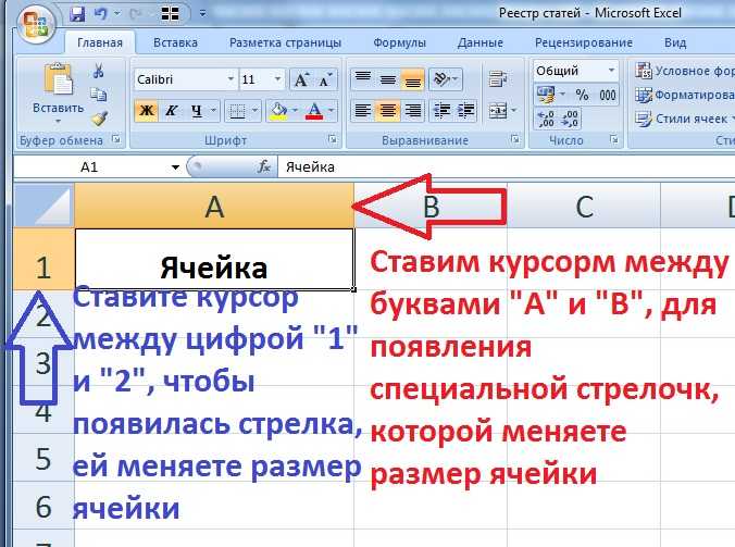 С помощью какой команды можно изменить размер изображения находящегося на каком либо слое